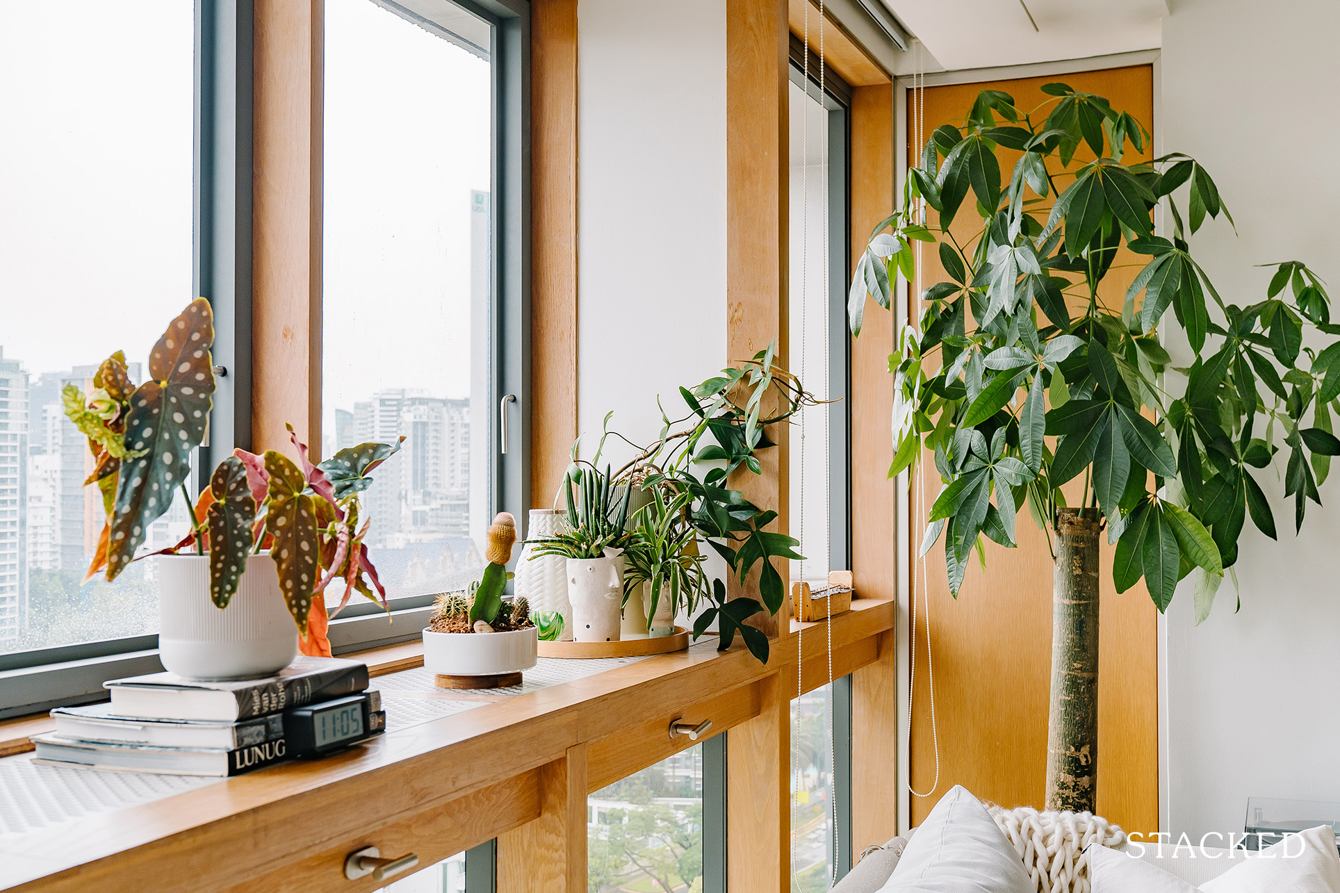 rental condo plants