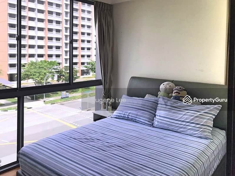 Cassia Edge 6