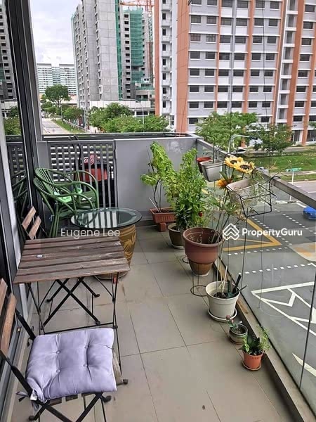 Cassia Edge 1