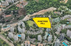 pinetree hill new launch condo