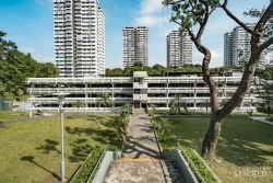 Braddell View