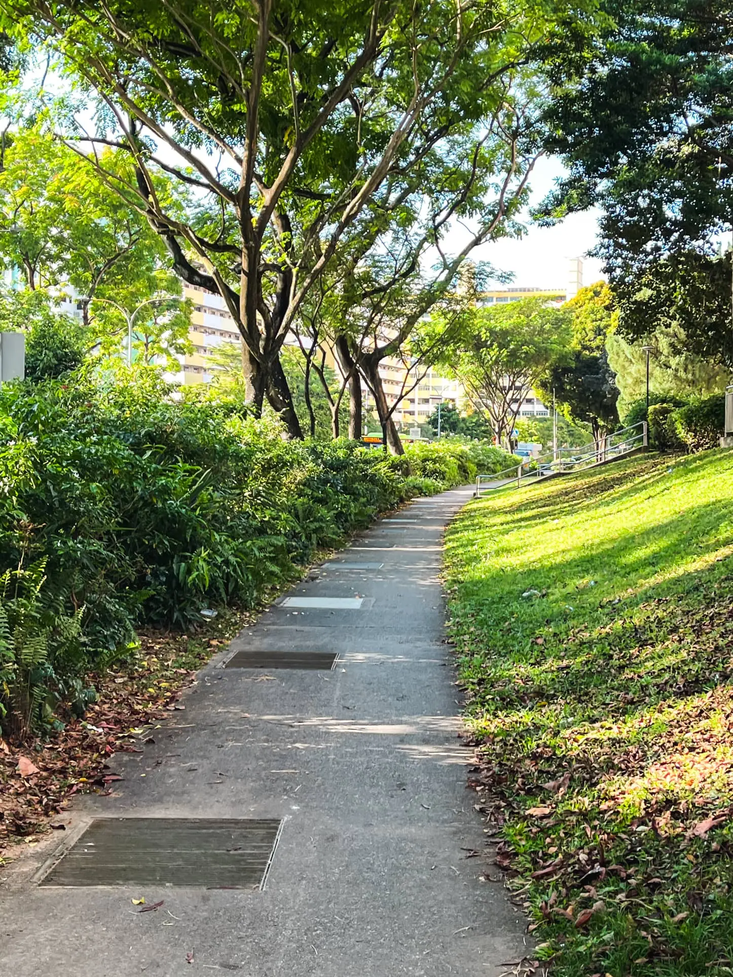 Touring Yio Chu Kang Gardens: Affordable Freehold & Leasehold Landed ...