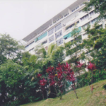 SLA Walkup Pasir Panjang Apartment