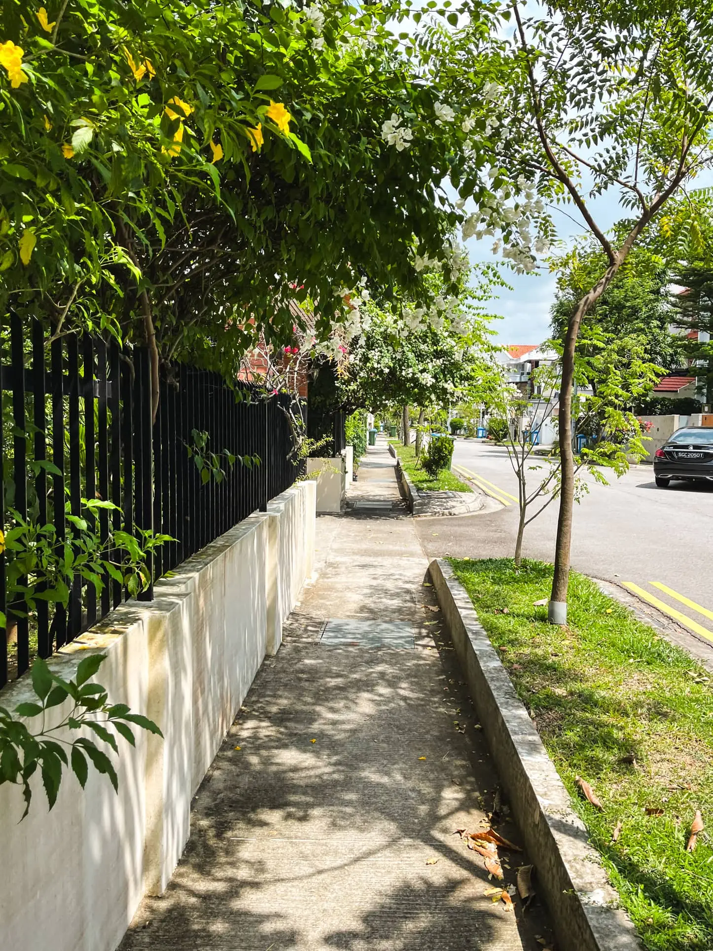 Ceylon Road 5