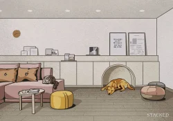 dog house planning