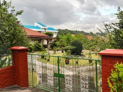 Pasir Panjang Hill 19