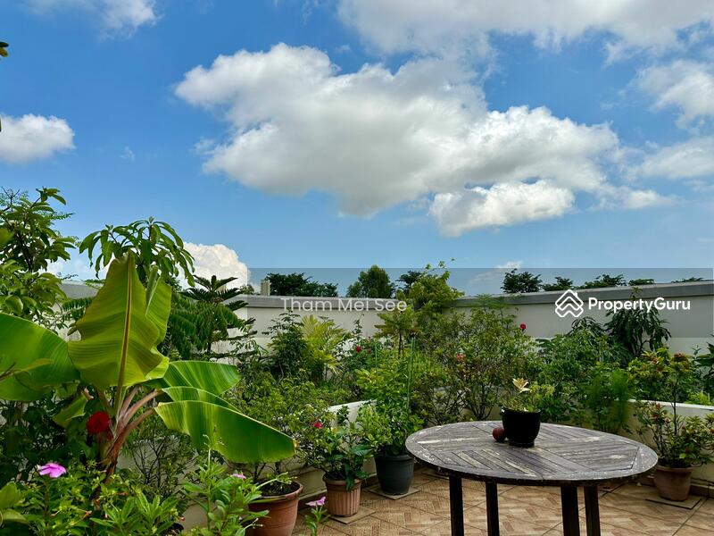 Edelweiss Park Condo Changi Airport Changi Village Singapore