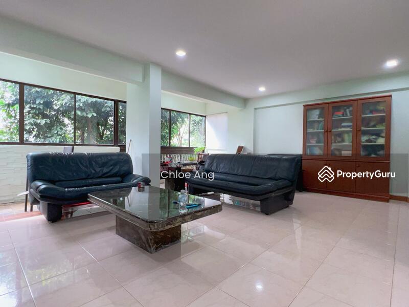 Braddell View Ang Mo Kio Bishan Thomson Singapore 1