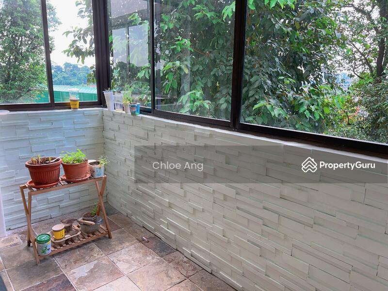 Braddell View Ang Mo Kio Bishan Thomson Singapore 7