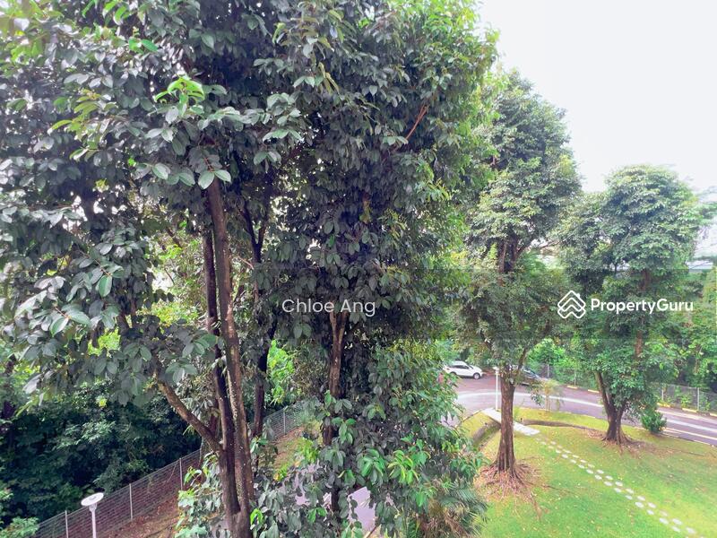 Braddell View Ang Mo Kio Bishan Thomson Singapore 8