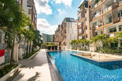 parc rosewood swimming pool 9