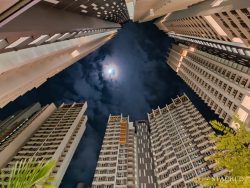 skyoasis @ dawson record price hdb