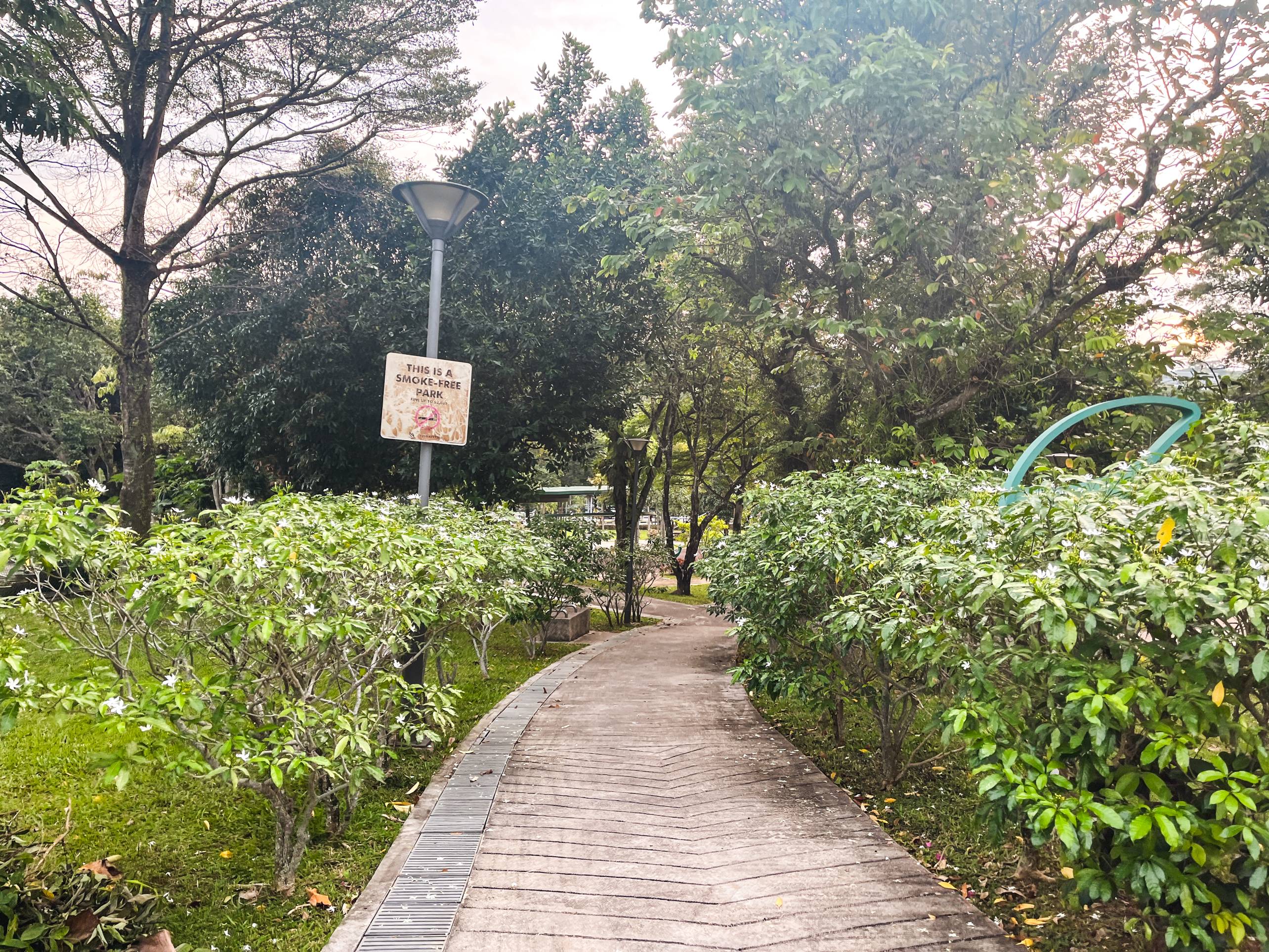 Cashew Terrace 19