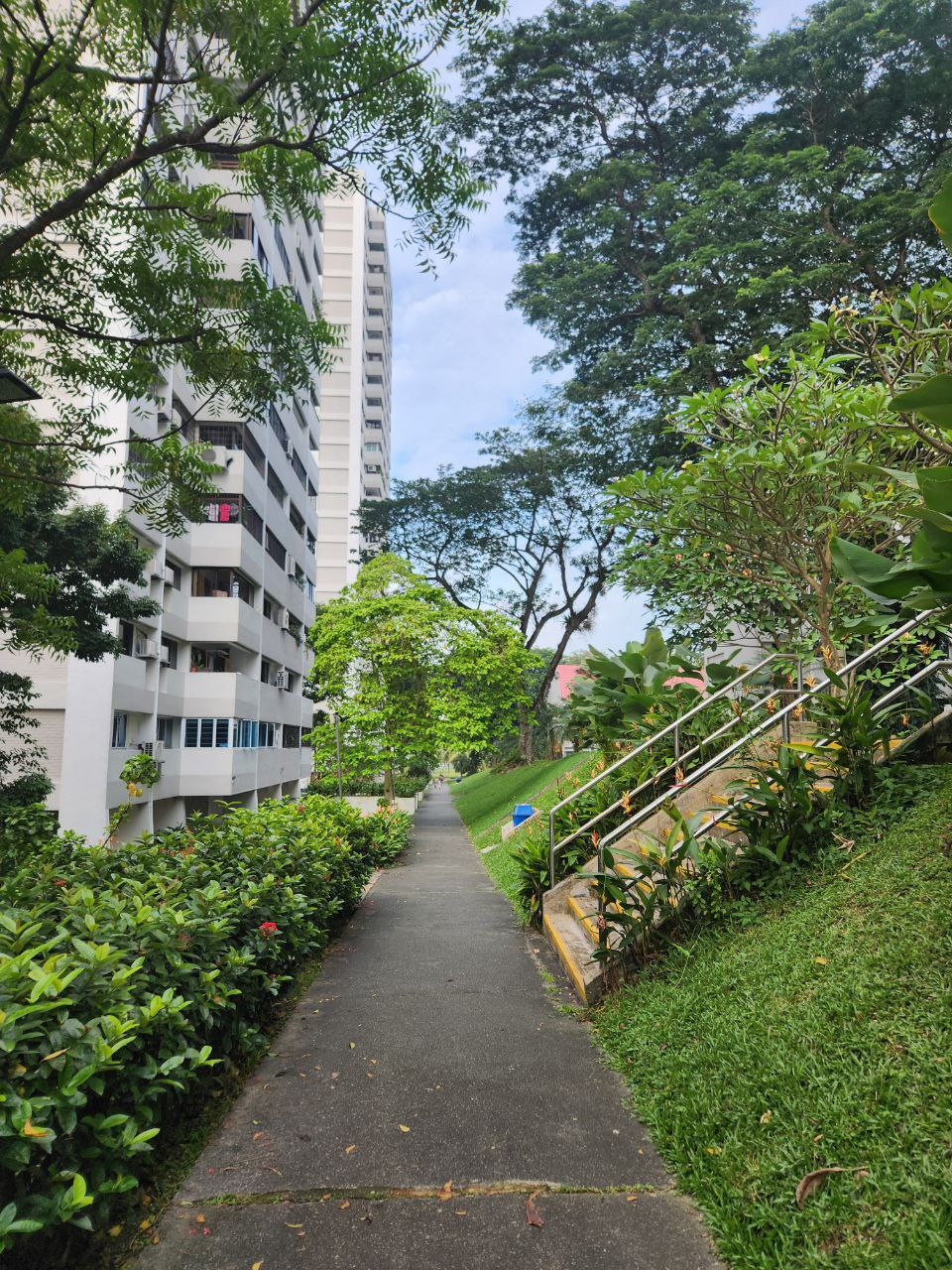 3. Braddell View Surroundings