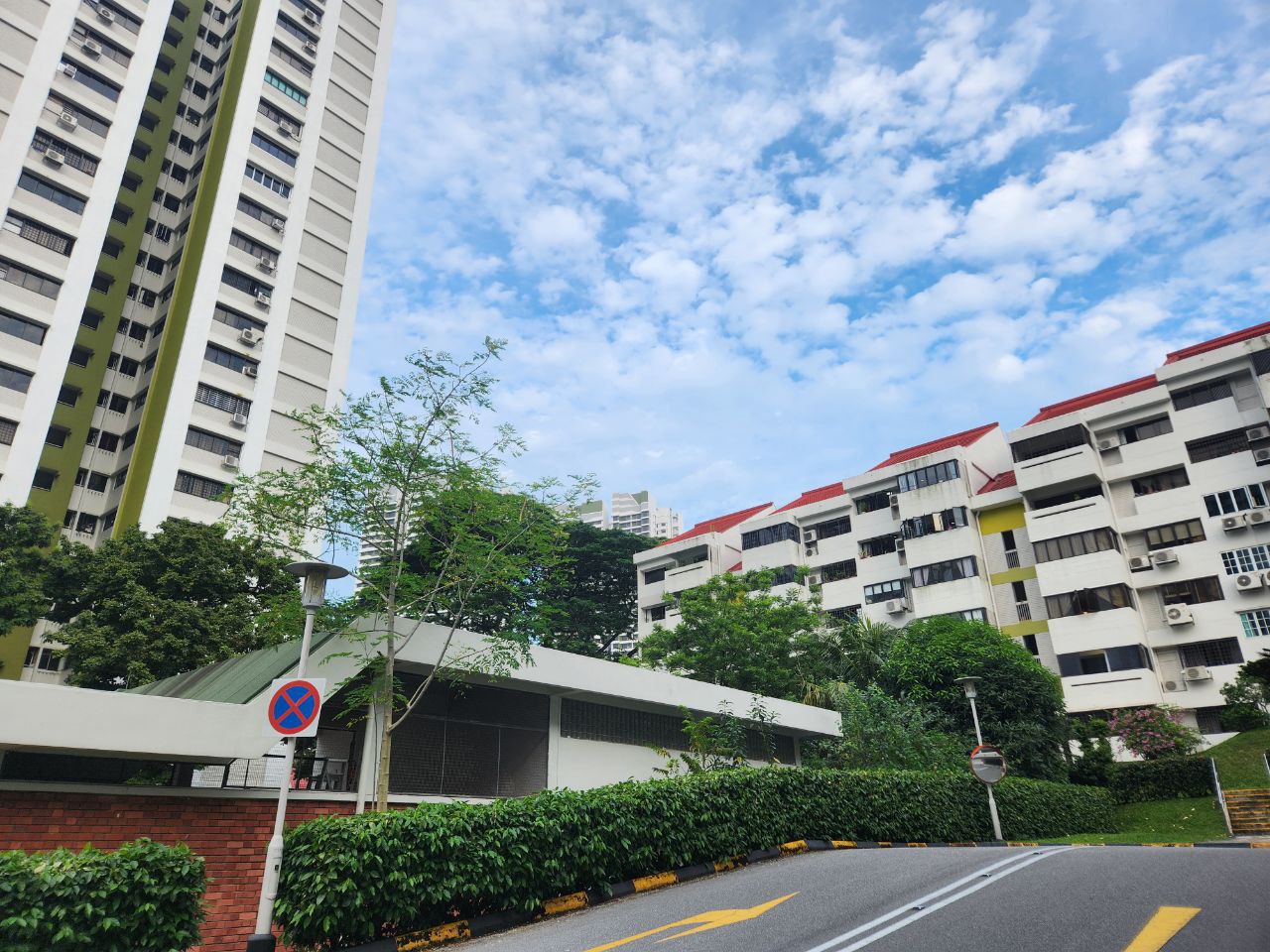 10. Braddell View surroundings