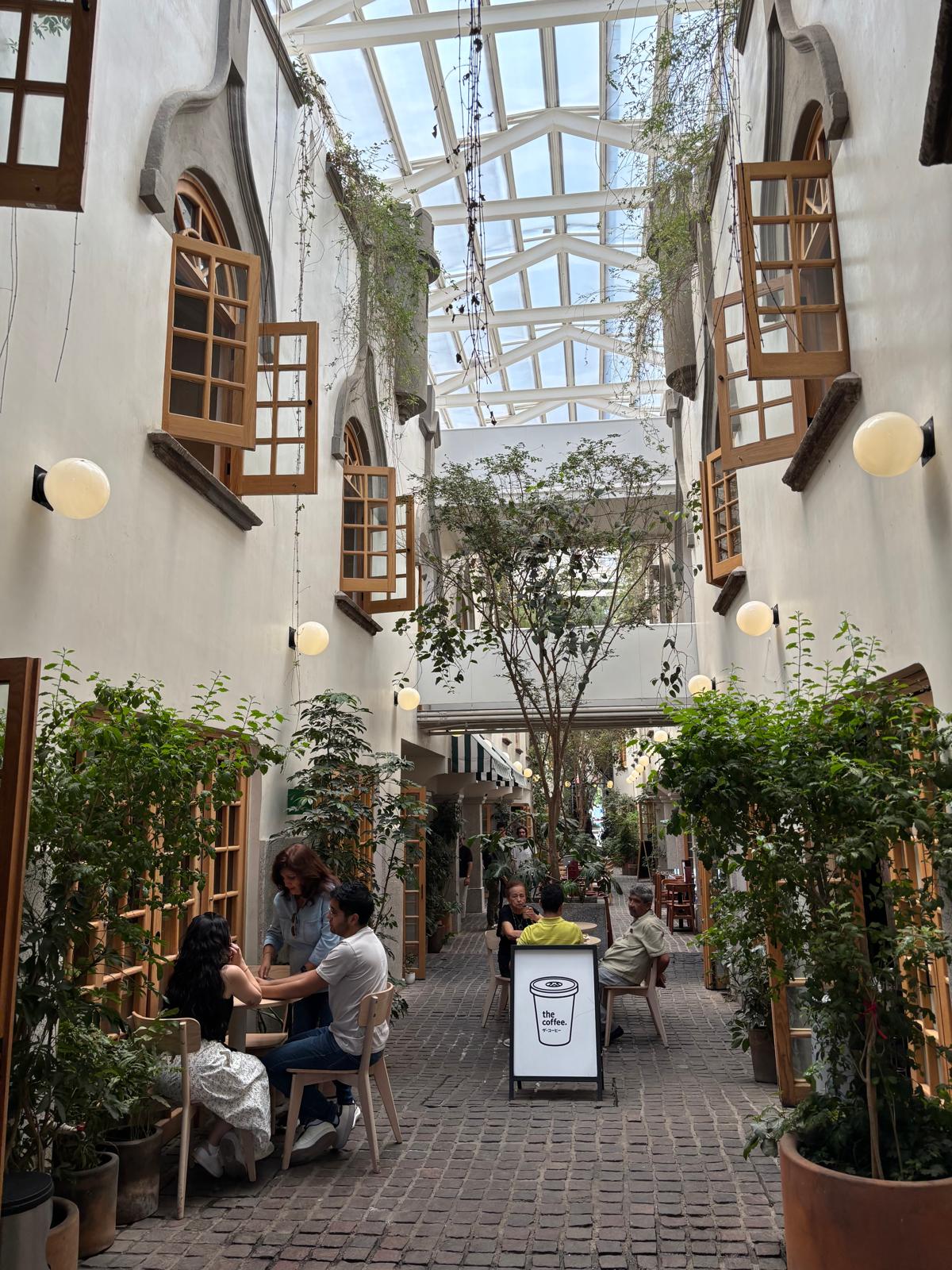 House Hunting in Mexico City 13