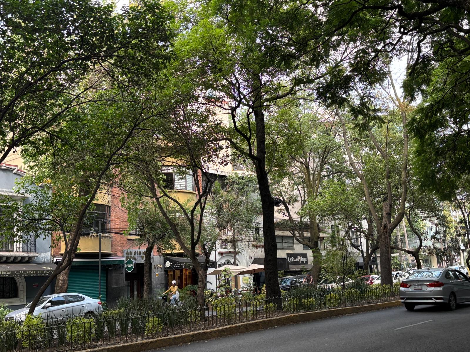 House Hunting in Mexico City 6