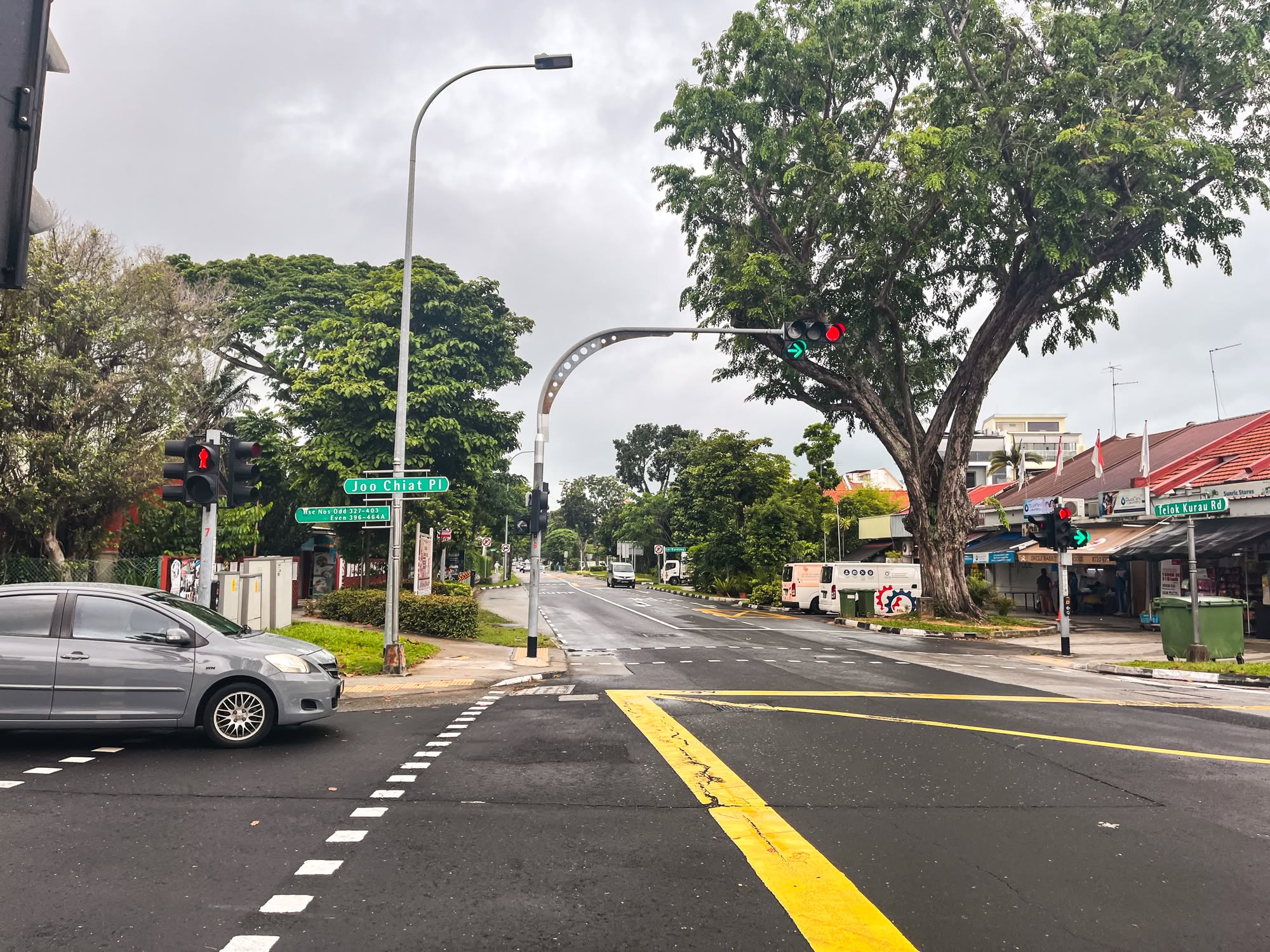 Joo Chiat Place 7068
