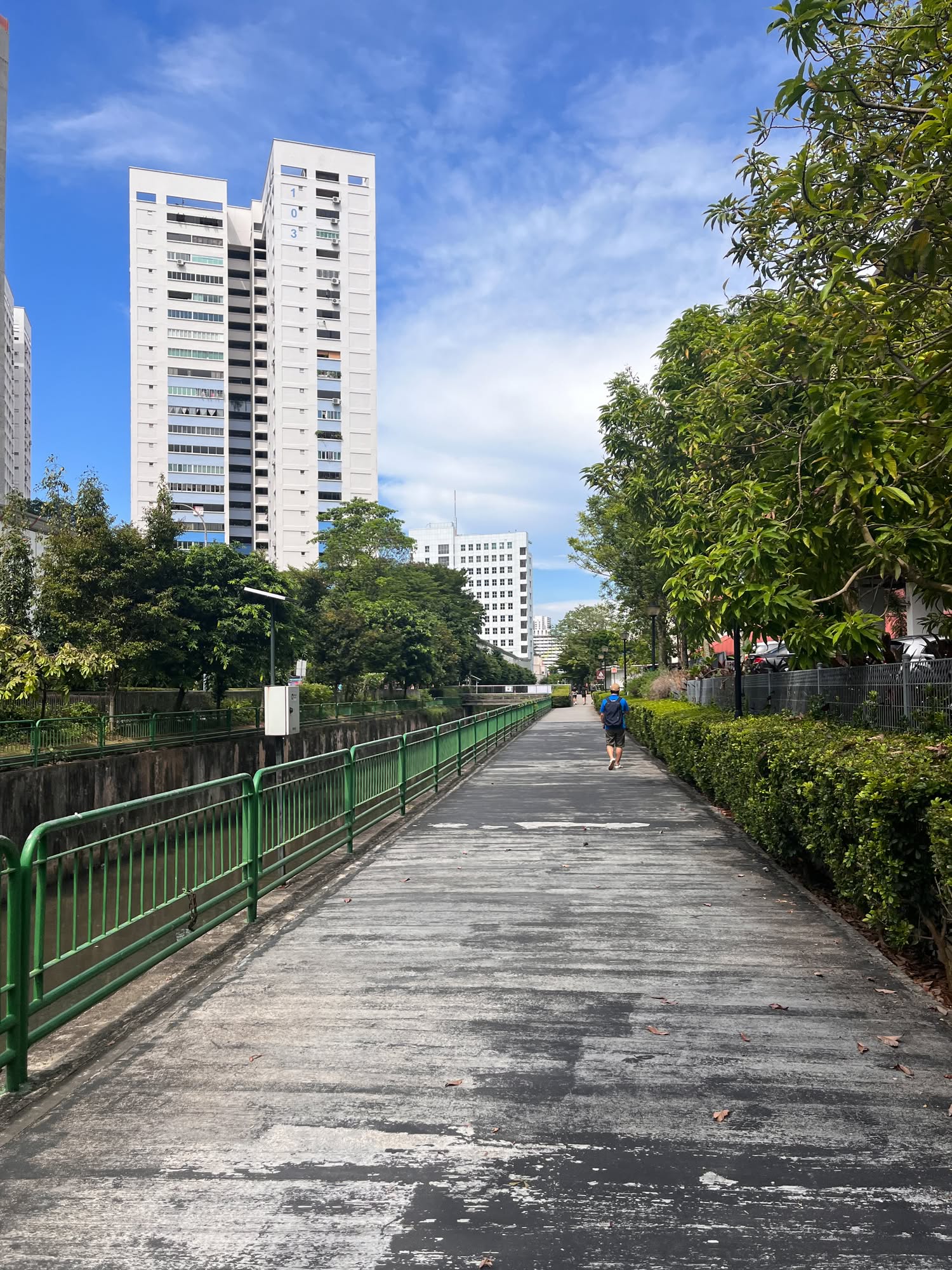 Balestier 4105