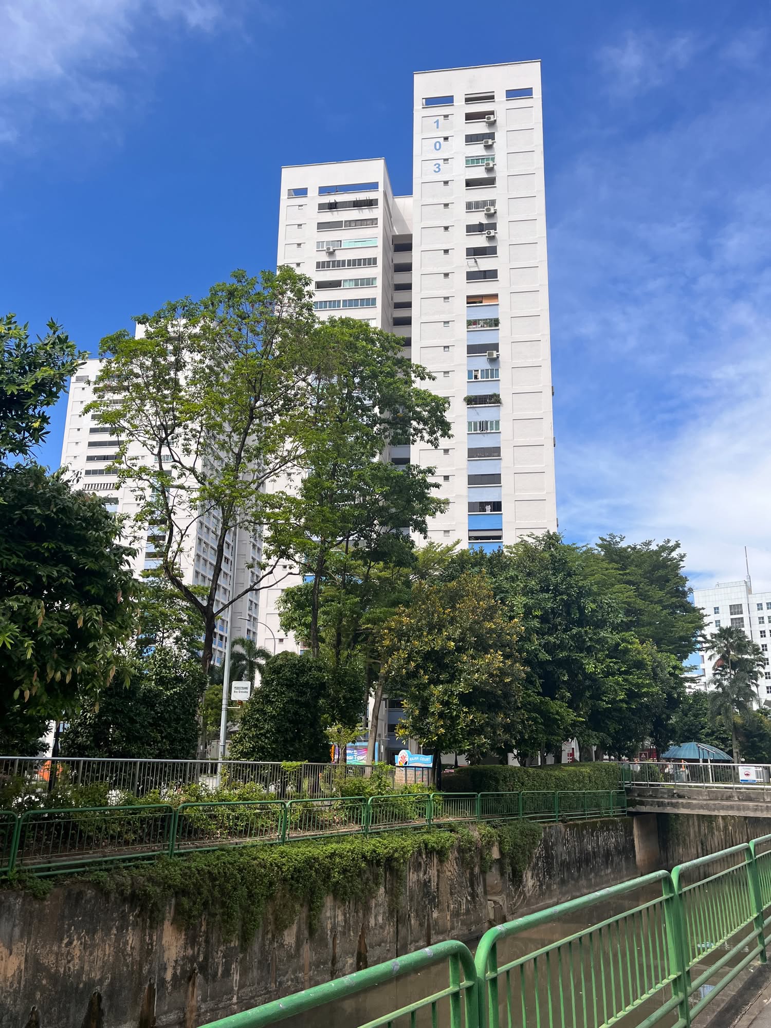 Balestier 4111