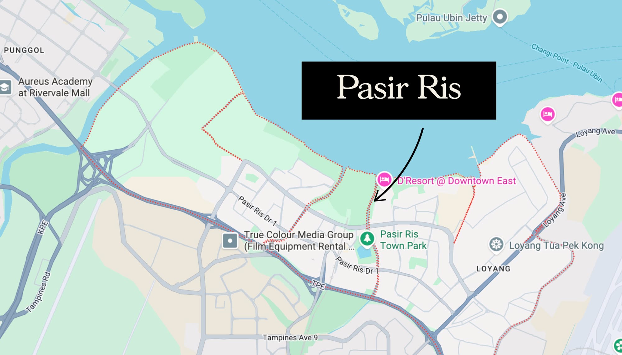 The Great Pasir Ris Rediscovery in 2025