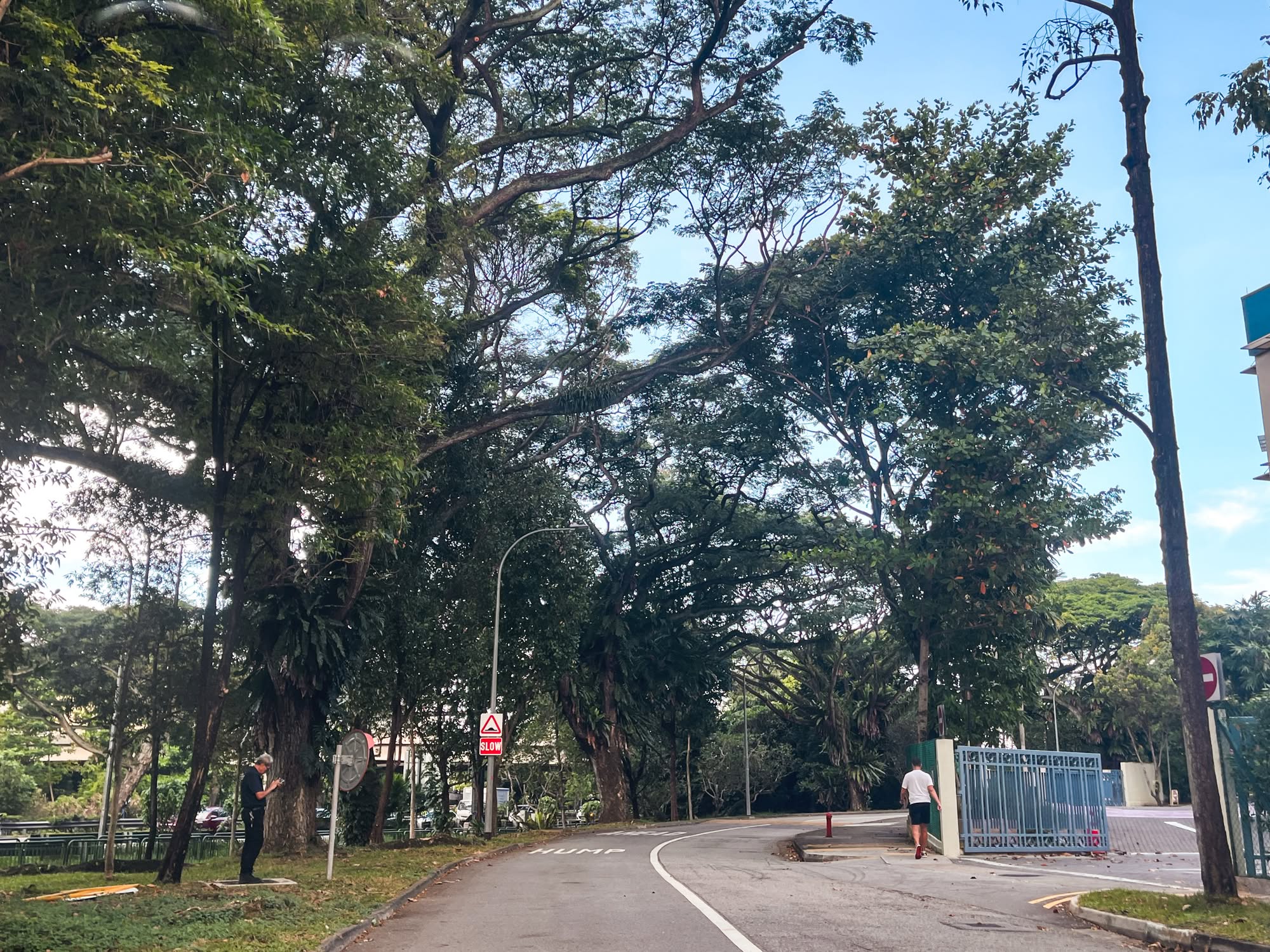 Bukit Teresa 6164