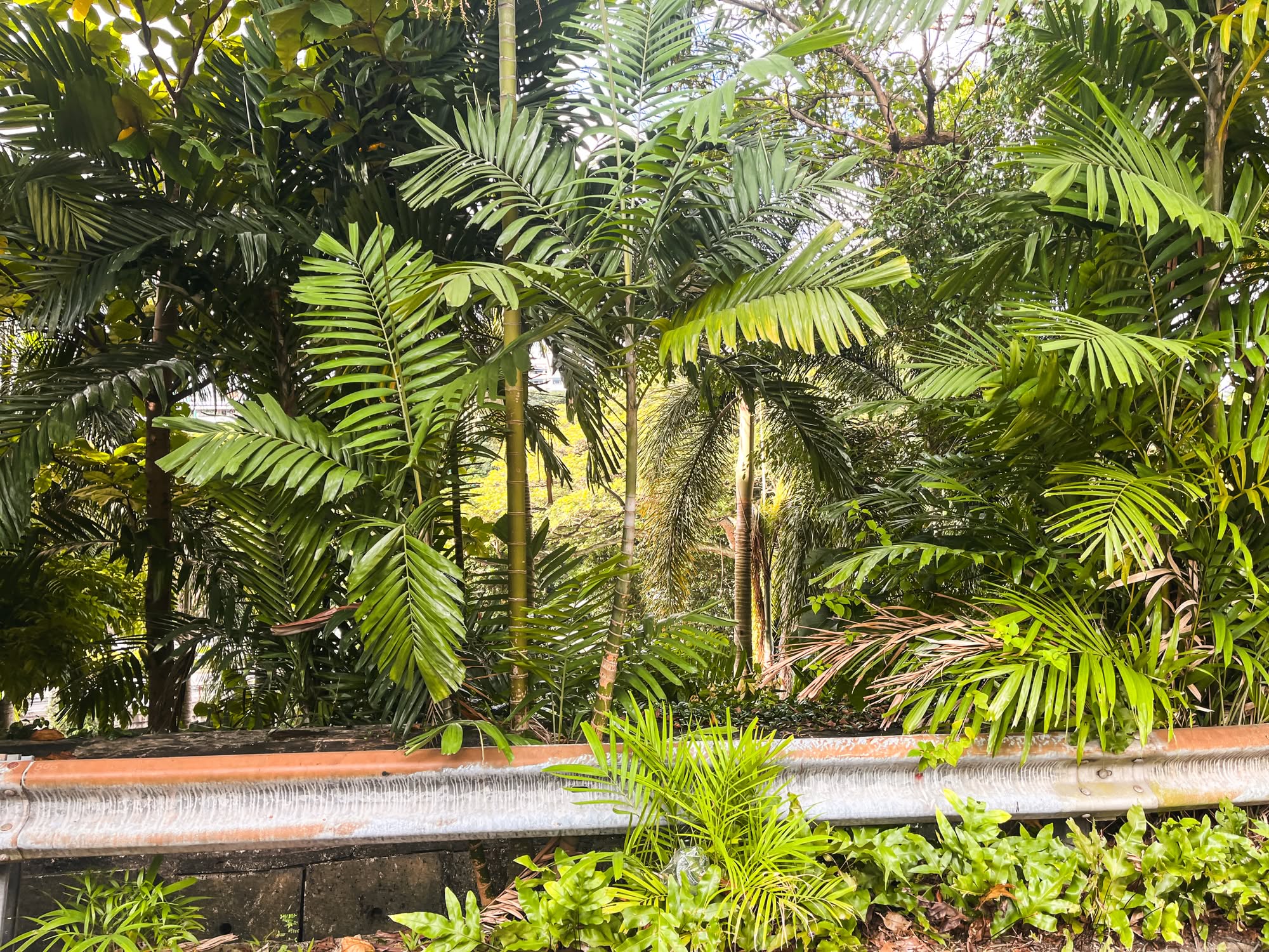 Bukit Teresa 6115