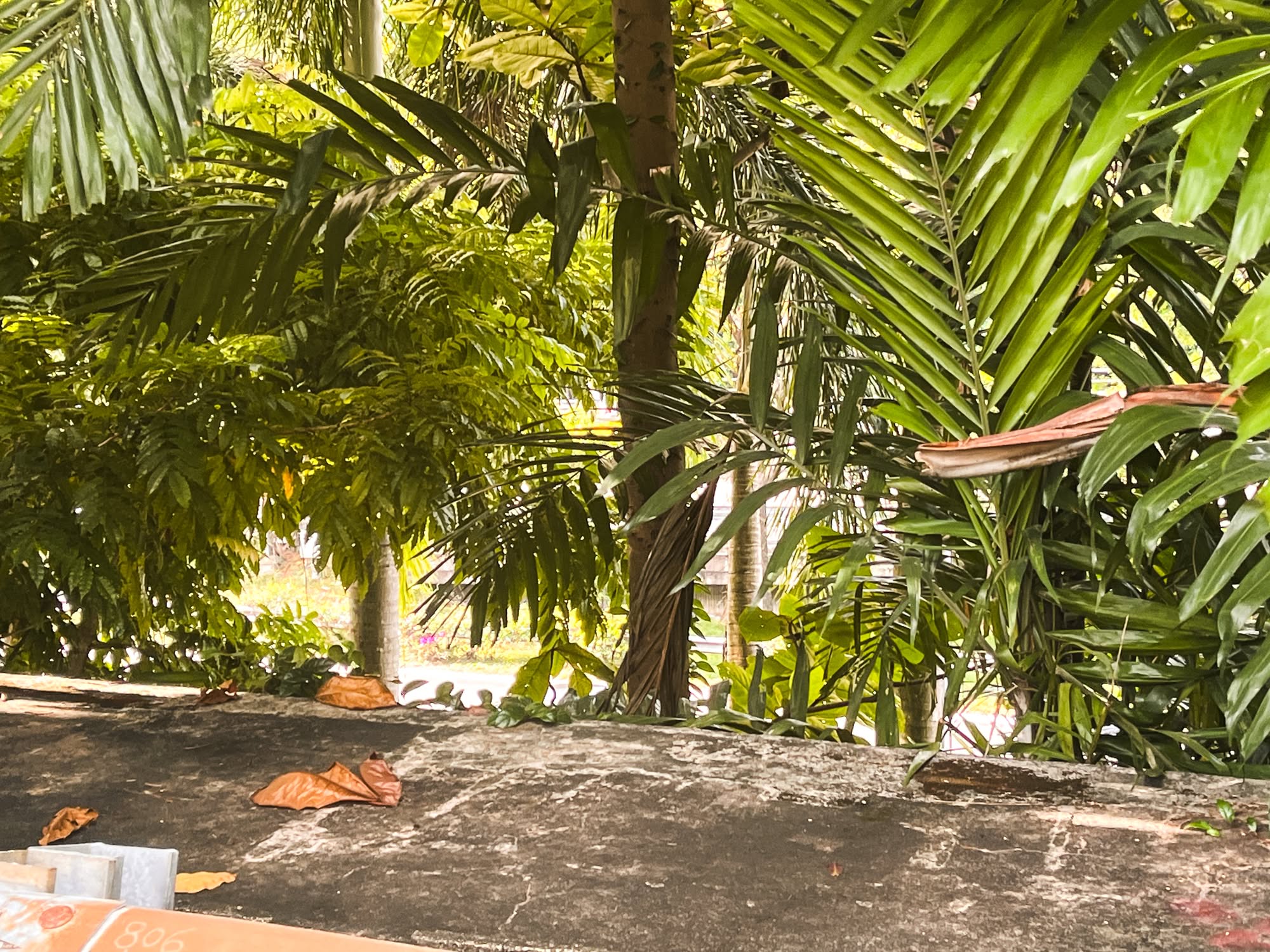 Bukit Teresa 6116