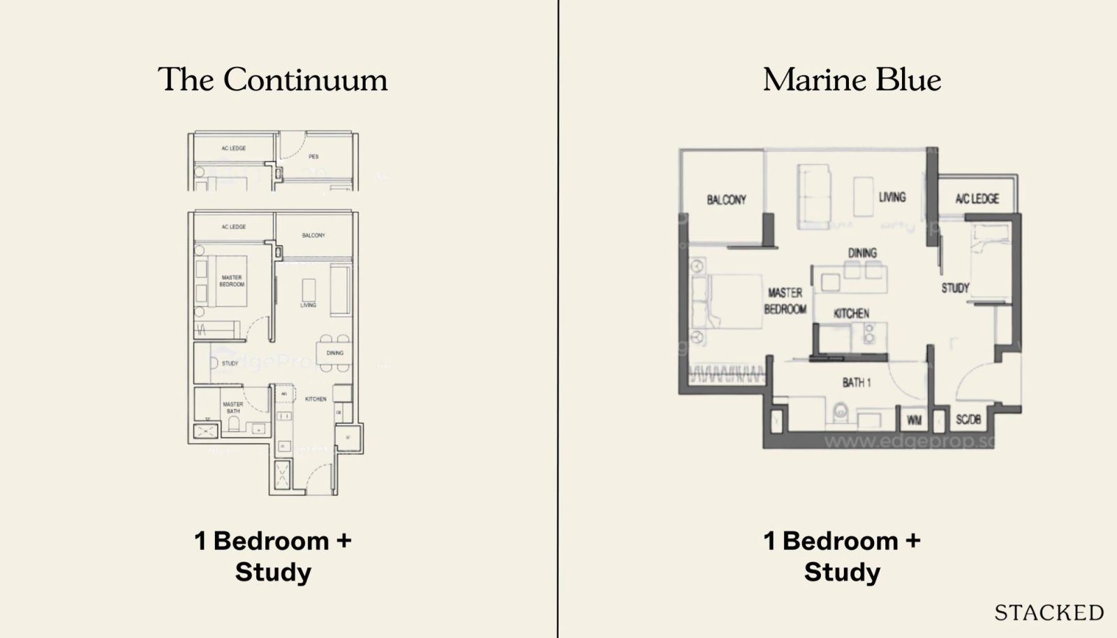 The Continuum vs Marine Blue