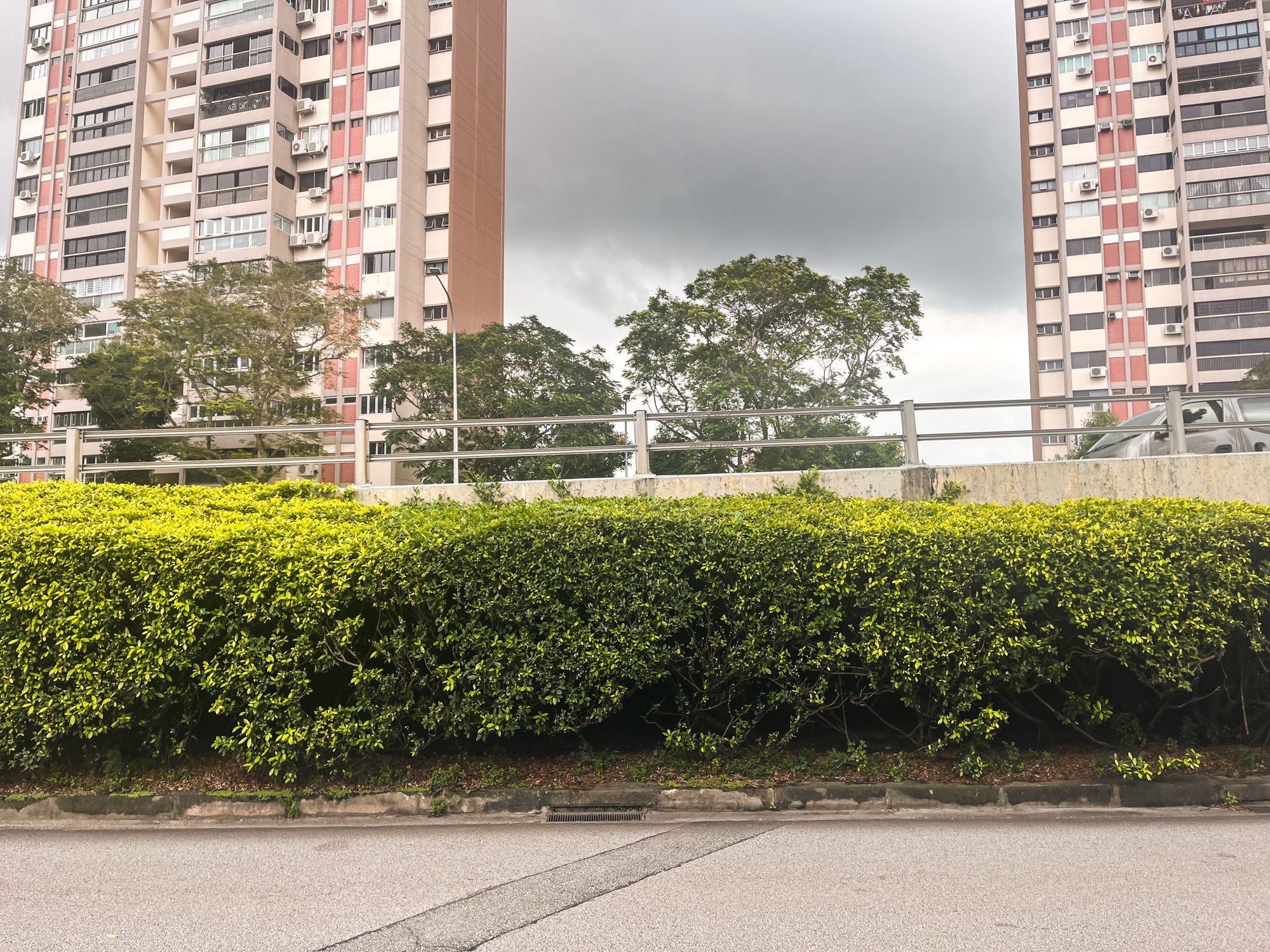 Farrer Road 6755