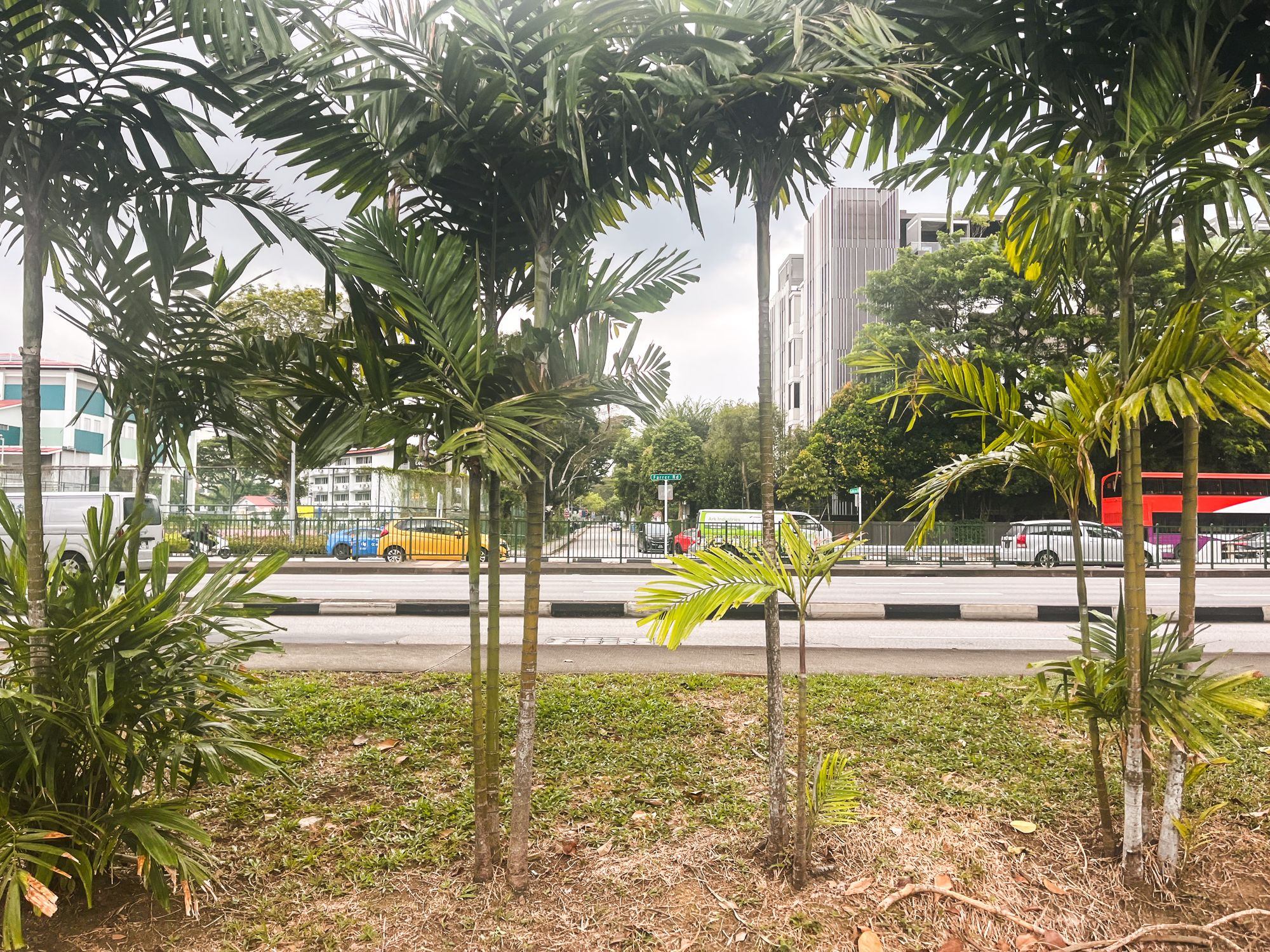 Farrer Road 6729
