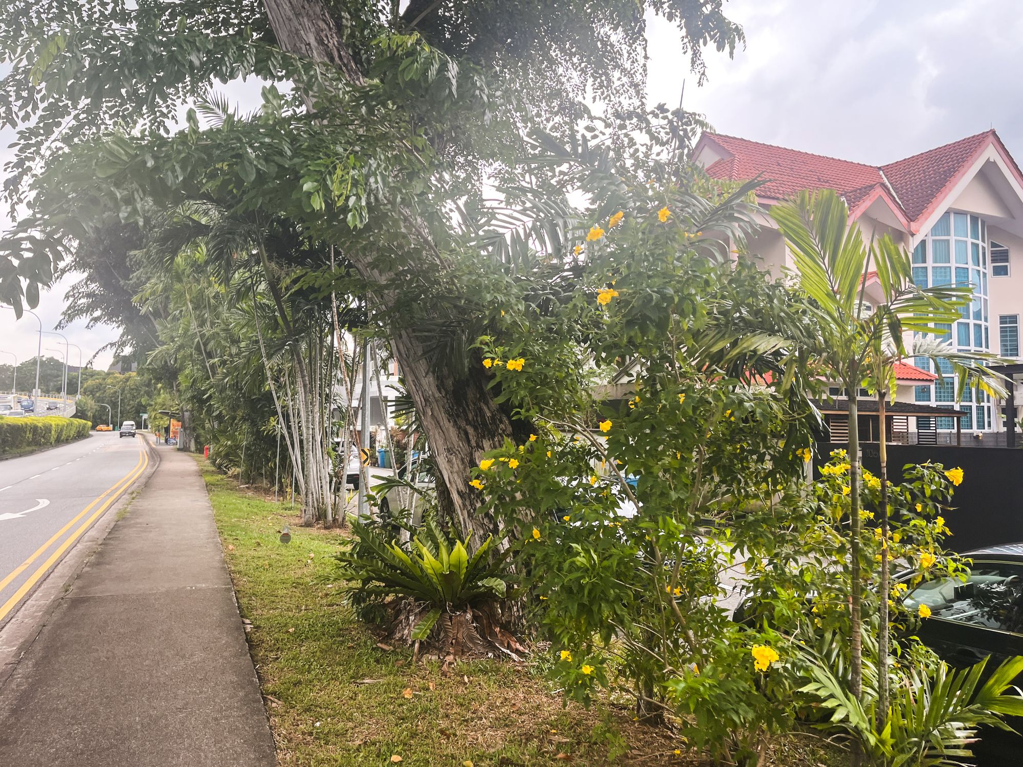 Farrer Road 6743