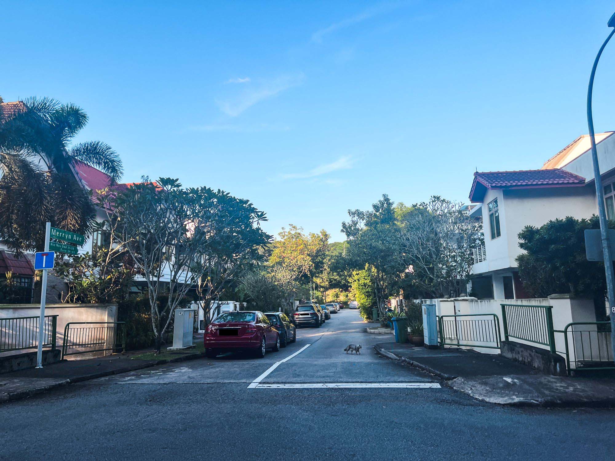 Merryn Avenue Terrace 7179