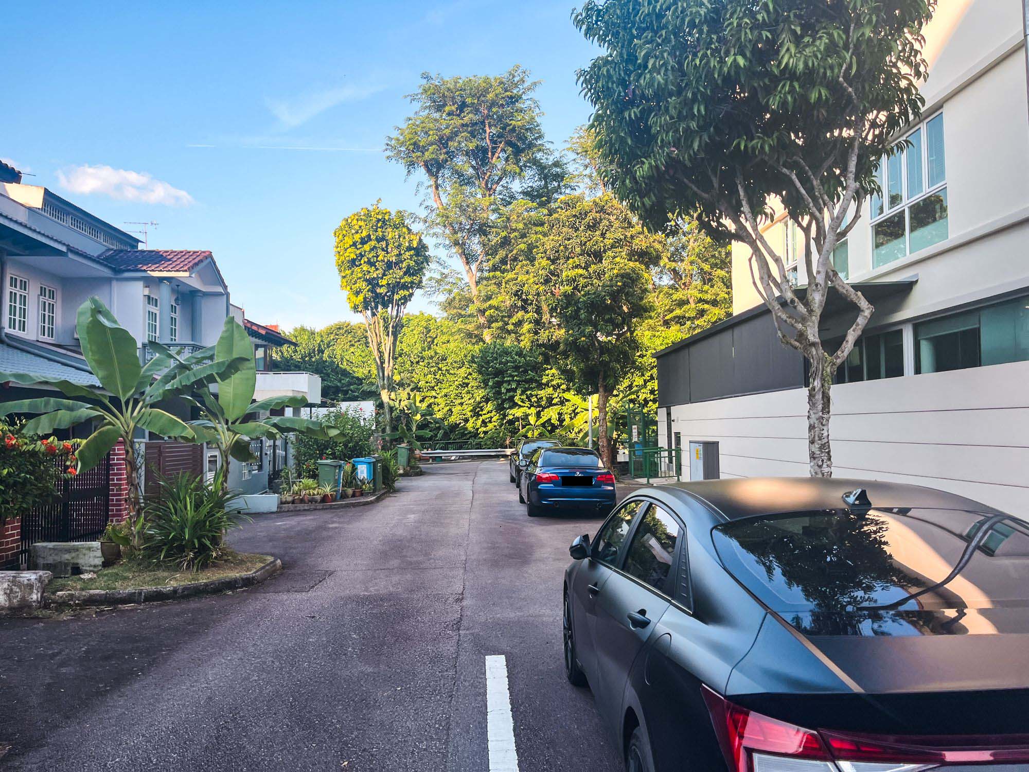 Merryn Avenue Terrace 7165