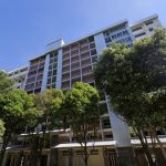 woodlands executive record price