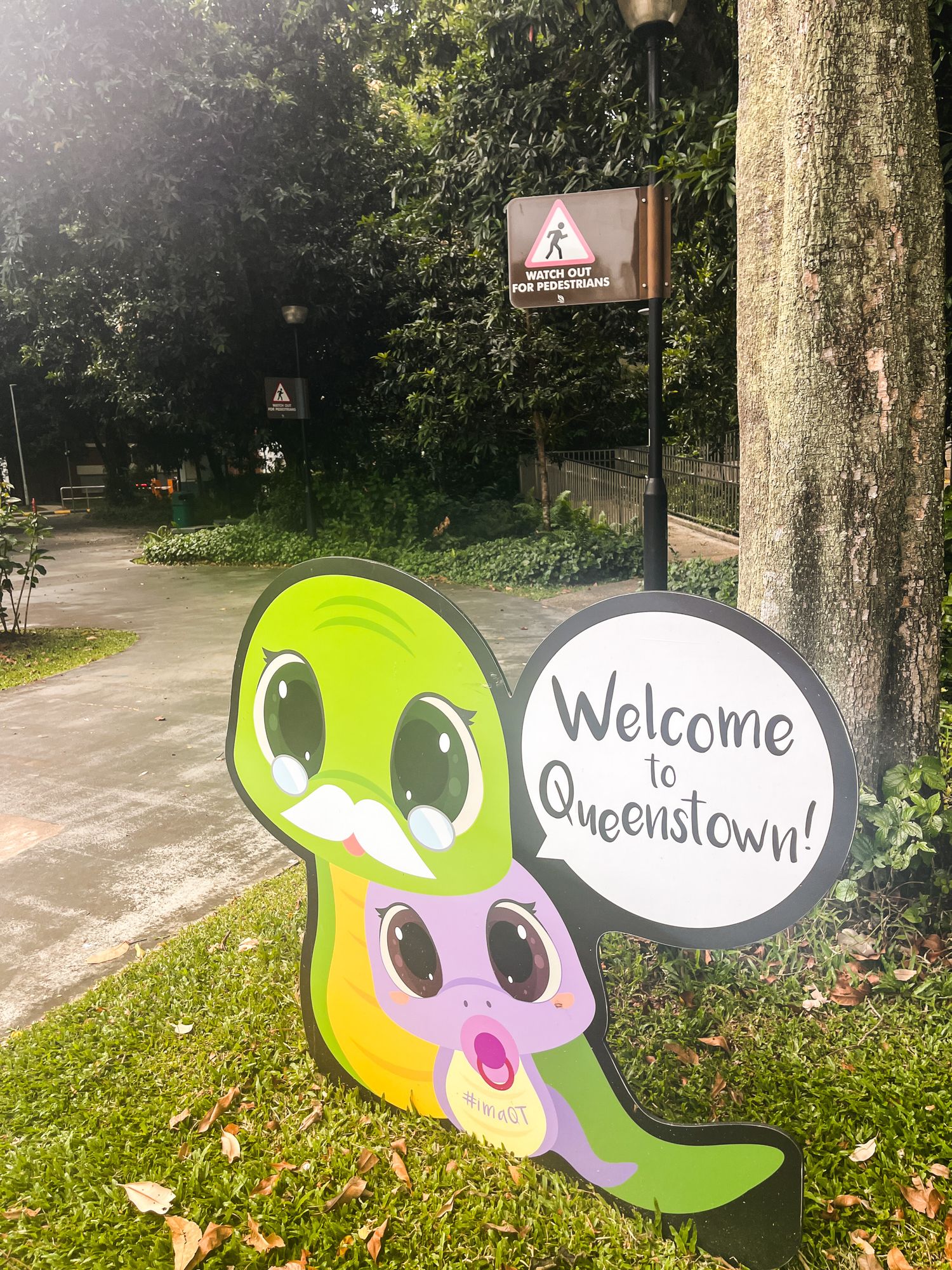 Queenstown 5678