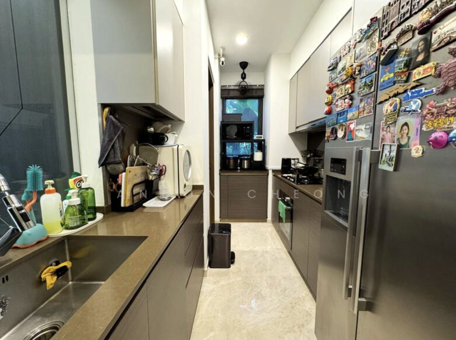 Daintree Residence 3