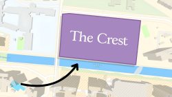 Why did The Crest Underperform 1