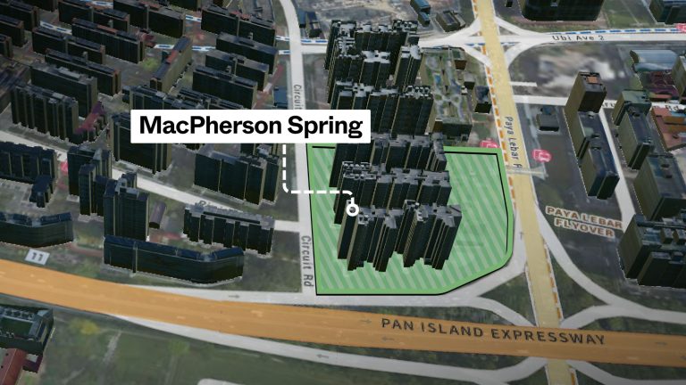 MacPherson Spring