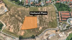 Holland Plain