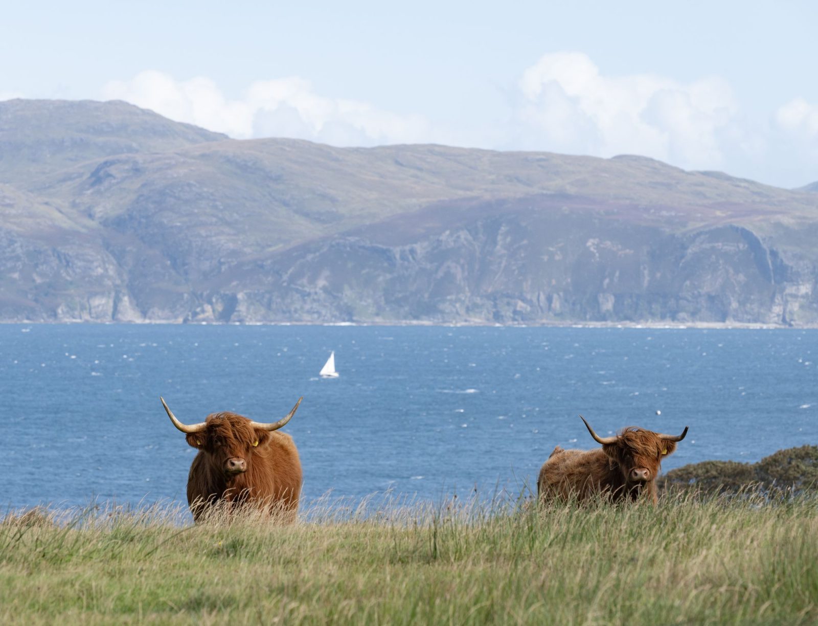 Glengorm128