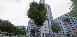 46 Bendemeer Road