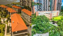 Avenue South Residences and Springleaf Residences