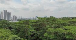 Maju Forest