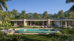 Single-storey house with a pool, sun loungers, sunken seating, surrounded by palm trees and greenery
