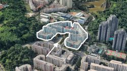 Cluster of housing blocks outlined in white surrounded by greenery and other residential buildings