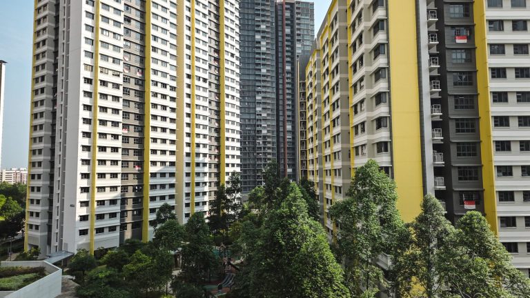Housing blocks with Singapore flags hanging from some windows and green trees in the foreground