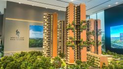 Scale model of Springleaf Residence apartment blocks with greenery and interior showroom backdrop