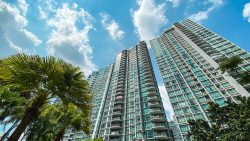 Park Infinia at Wee Nam residential blocks towering against blue sky with palm trees in foreground