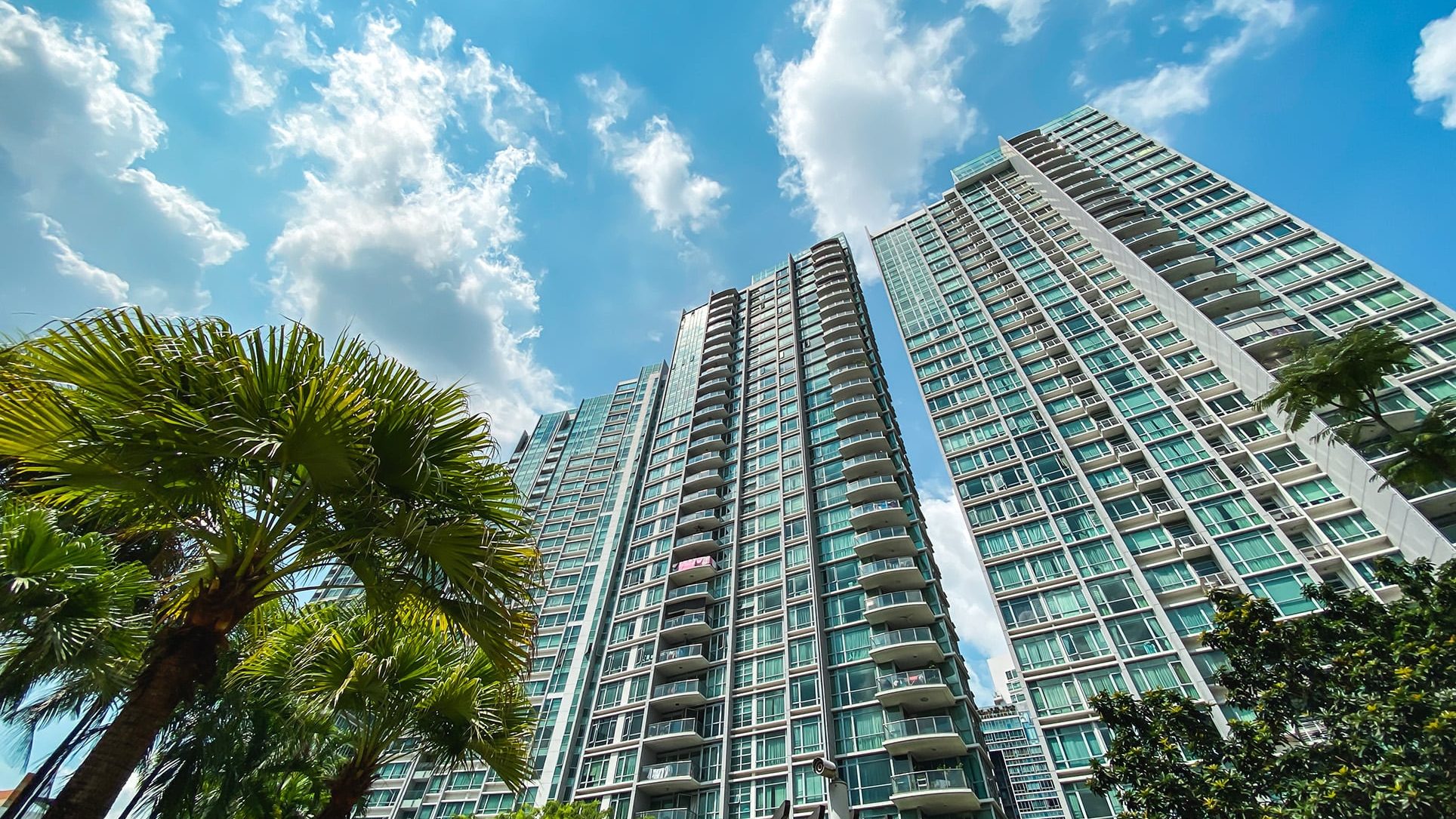 Park Infinia at Wee Nam residential blocks towering against blue sky with palm trees in foreground